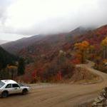 Ben Hetland 1979 Datsun 210 Rally