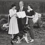 9B6B7293 2046 4F39 8C5A D6B378568BCD