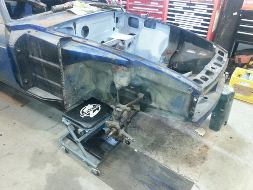 Bearsails Michael Lippmann